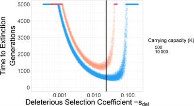 Evolutionary models predict potential mechanisms of escape from mutational meltdown